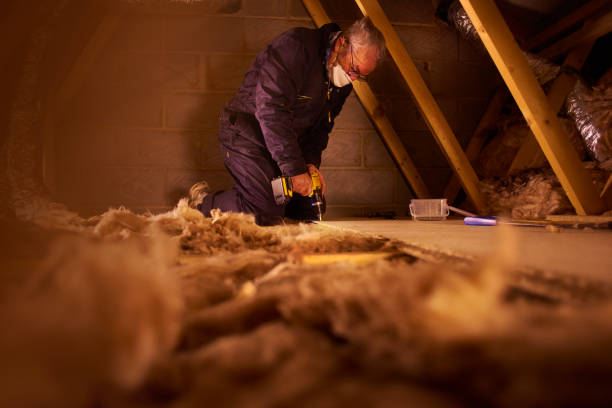 Best Insulation Removal  in Frostproof, FL
